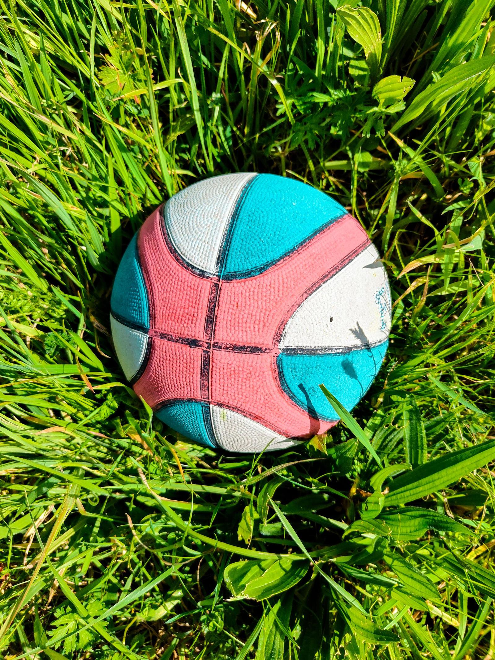 When Your Grass Becomes a Crime: Municipal Weed Laws and the Question of Proportionality