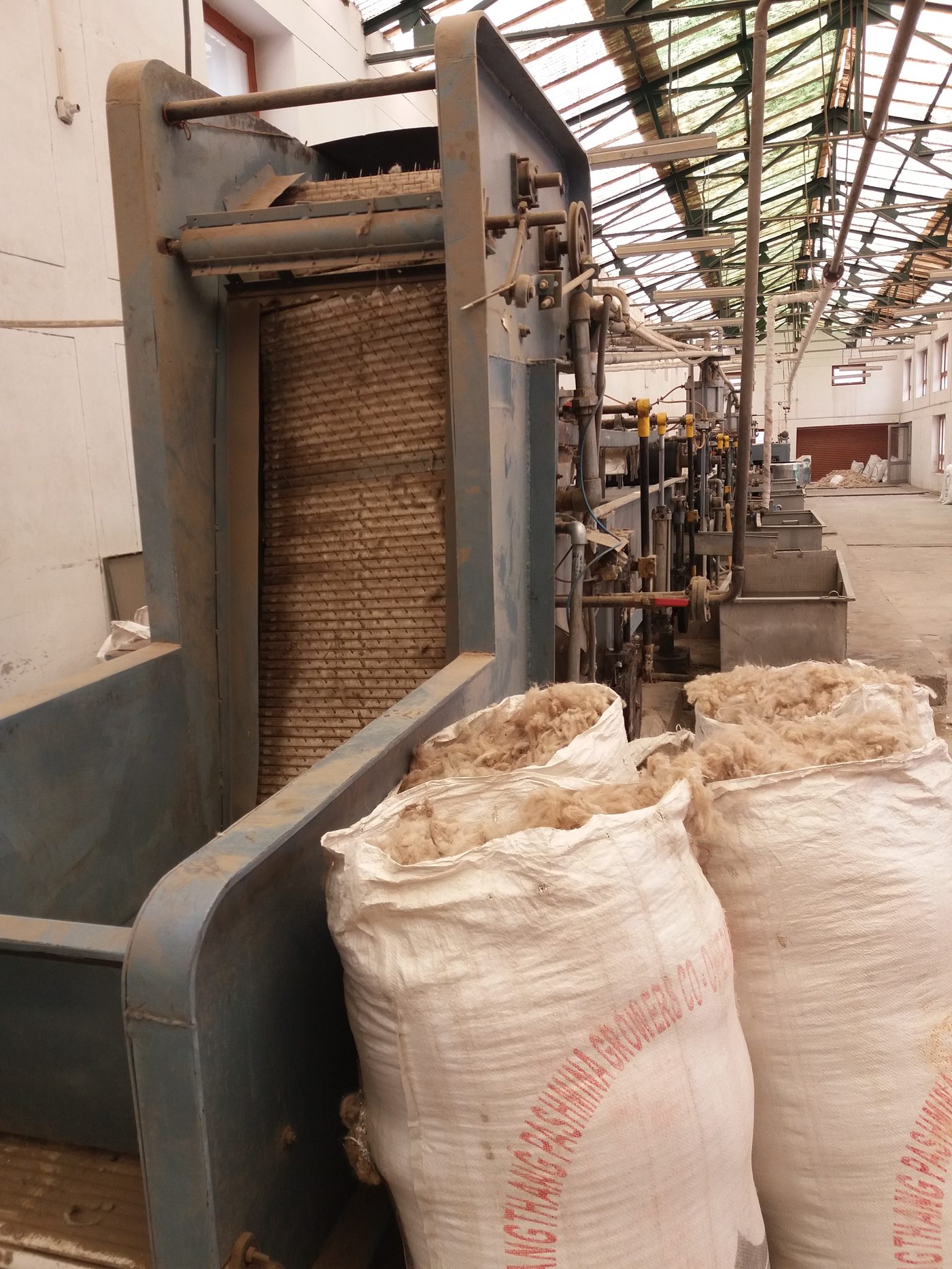 Sacks stuffed with raw pashmina fibre stand beside a blue processing machine in a long, skylit shed