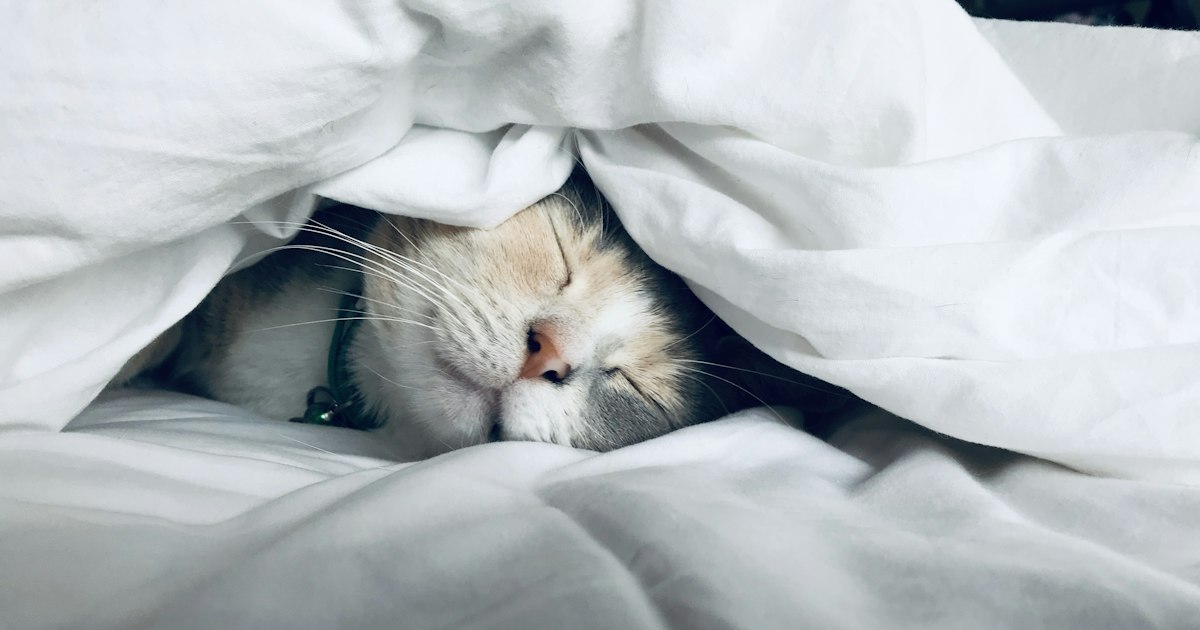 Vamkukshi: What Ayurveda and Modern Science Actually Say About Sleeping on Your Left Side